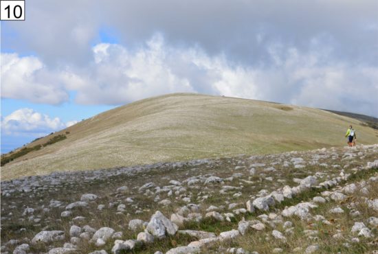 ARRIVA IL 1° TRAIL DI MONTE CALVO