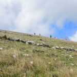 Finalmente il progetto “Cammino di Federico II” diventa realtà