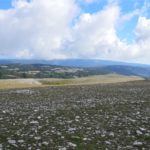 𝗜𝗟 𝗚𝗔𝗥𝗚𝗔𝗡𝗢 𝗣𝗥𝗘𝗜𝗦𝗧𝗢𝗥𝗜𝗖𝗢 𝟭𝟭–𝟭𝟮 𝗼𝘁𝘁𝗼𝗯𝗿𝗲 𝟮𝟬𝟮𝟱 – 𝗦𝗮𝗻 𝗠𝗮𝗿𝗰𝗼 𝗶𝗻 𝗟𝗮𝗺𝗶,”Settimana del Pianeta Terra”