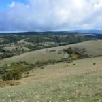 Dopo il grande successo della prima edizione, cresce l’attesa per la Festa del Cammino sul Gargano Edizione 2025!