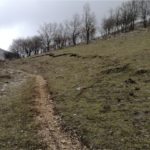 UN SENTIERO PER DON FAUSTO PARISI NEL CUORE DEL PARCO DEL GARGANO