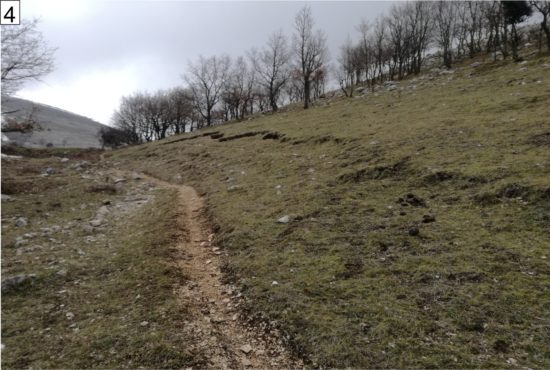 UN SENTIERO PER DON FAUSTO PARISI NEL CUORE DEL PARCO DEL GARGANO