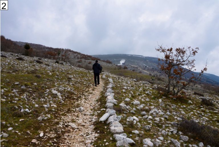 Marciare per non marcire: i primi 50 anni di corsa del sangiovannese Michele Grifa