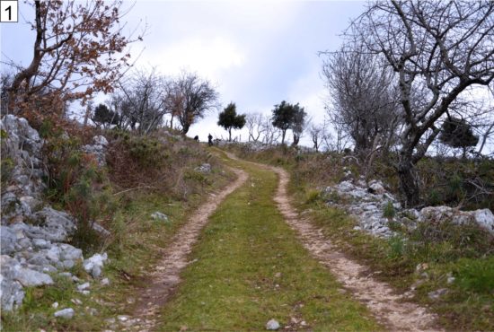 IL CONSORZIO DI BONIFICA MONTANA DEL GARGANO FRA LE ECCELLENZE RURALI NAZIONALI.