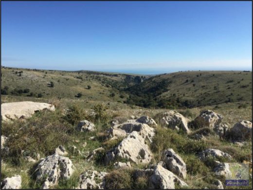 “Come l’aria che mi libera la mente”