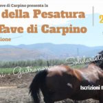 Festa della Pesatura della Fava di Carpino IV edizione