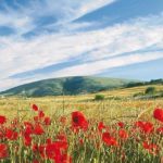 𝐀ʟ ᴠɪᴀ ɪʟ 𝐏ʀᴏɢᴇᴛᴛᴏ “𝐒ɪᴛɪ 𝐍ᴀᴛᴜʀᴀʟɪ 𝐔ɴᴇ𝐬ᴄᴏ ᴇ 𝐙𝐄𝐀 ᴘᴇʀ ʟ’ᴇᴅᴜᴄᴀᴢɪᴏɴᴇ ᴀᴍʙɪᴇɴᴛᴀʟᴇ” ᴀᴛᴛɪᴠᴀᴛᴏ ᴅᴀʟʟ’𝐄ɴᴛᴇ ᴘᴀʀᴄᴏ ɴᴀᴢɪᴏɴᴀʟᴇ ᴅᴇʟ 𝐆ᴀʀɢᴀɴᴏ.