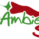 La Rai media partner ufficiale di FestambienteSud 2022