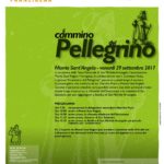 Il cammino del Pellegrino