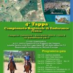 Quarta tappa campionato regionale di Endurance FISE Puglia