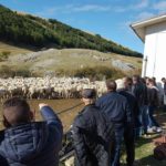 I pastori abruzzesi nella prevenzione degli attacchi da lupo, fenomeno che investe anche il promontorio.