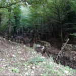 L’associazione Legambiente Circolo “Lo Sperone” di San Giovanni Rotondo organizza un Seminarioteorico-pratico per riconoscere le erbe spontanee commestibili dei nostri campi