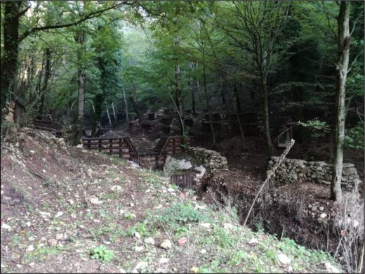 L’associazione Legambiente Circolo “Lo Sperone” di San Giovanni Rotondo organizza un Seminarioteorico-pratico per riconoscere le erbe spontanee commestibili dei nostri campi