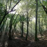 Il Gargano celebra 120 anni dalla prima esplorazione della Grotta di Pian della Macina