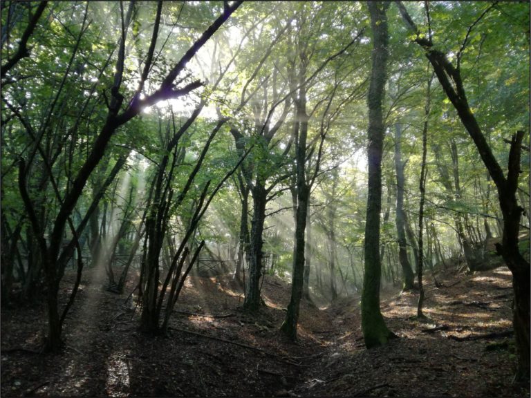 Il Gargano celebra 120 anni dalla prima esplorazione della Grotta di Pian della Macina