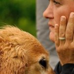 Benedizione degli Animali, nei pressi del Santuario di San Michele di Cagnano Varano