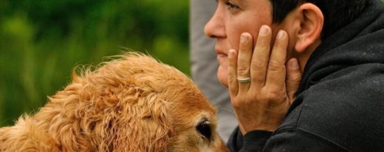 Evento di Primo Soccorso Veterinario a San Giovanni Rotondo