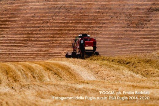 Biagio Izzo a Carapelle per la sagra del Grano Arso