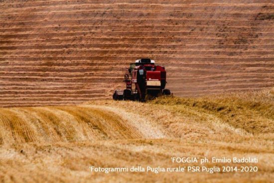 Biagio Izzo a Carapelle per la sagra del Grano Arso