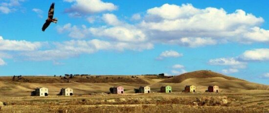 Guida Cantine d’Italia 2024: a sette cantine pugliesi il riconoscimento speciale de l’Impronta