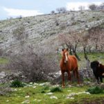 Domenica in trekking a Valle Della Monaca