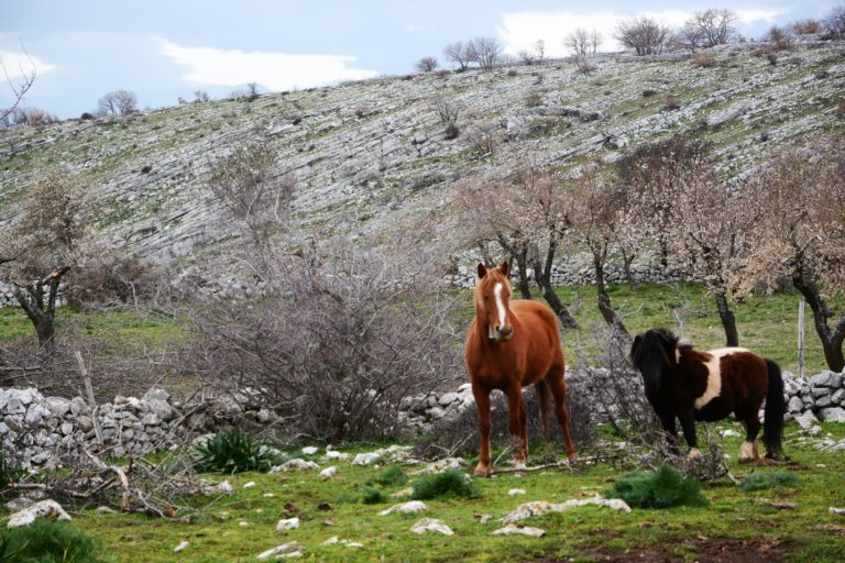 Domenica in trekking a Valle Della Monaca