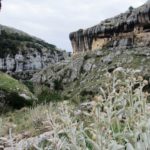 Il maltempo risparmia San Giovanni Rotondo ma il Gargano è colpito duramente