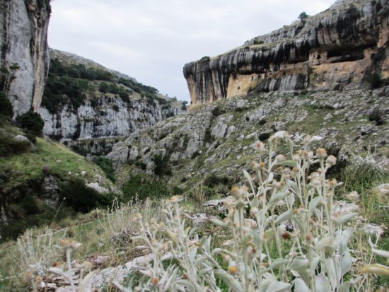 Valle Campanile – Eremi di Pulsano (La valle del silenzio)