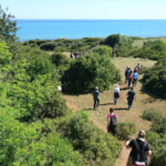 Tornano le Peregrinazioni botaniche, camminate alla scoperta del Gargano