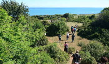 Tornano le Peregrinazioni botaniche, camminate alla scoperta del Gargano