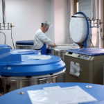 Casa Sollievo della Sofferenza invia unità di sangue cordonale a Seattle per un trapianto