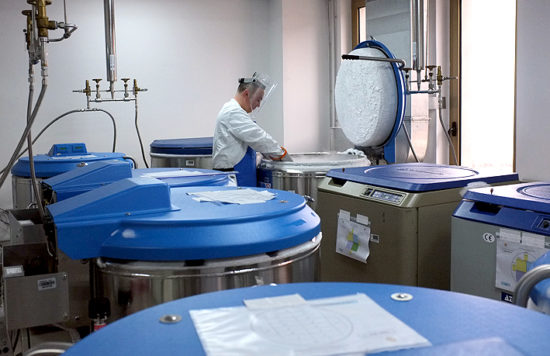 Casa Sollievo della Sofferenza invia unità di sangue cordonale a Seattle per un trapianto