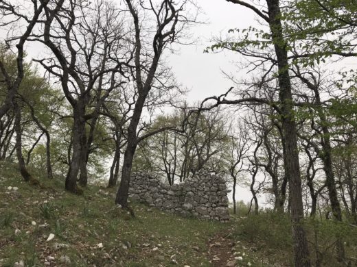 L’ultimo custode dell’antica tradizione dei pagliai del Gargano