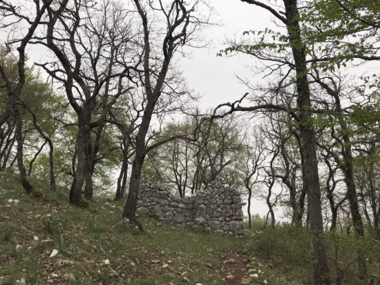 Il Consorzio di Bonifica Montana del Gargano con Luca Sardella per la promozione del territorio