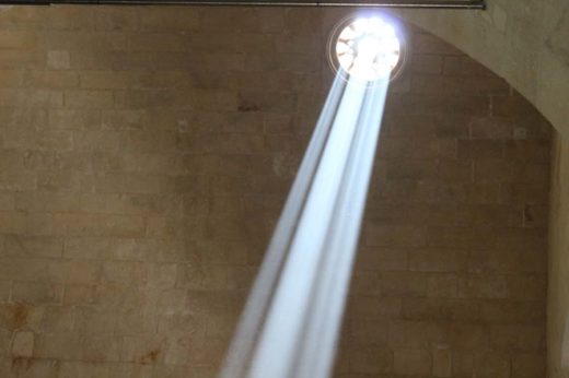 Cultura, torna #domenicalmuseo: