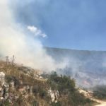 Intervenire nella protezione del nostro patrimonio boschivo e in generale del patrimonio naturale è molto importante.