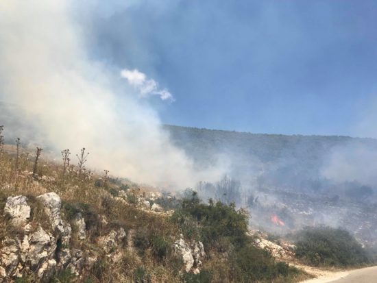 Intervenire nella protezione del nostro patrimonio boschivo e in generale del patrimonio naturale è molto importante.