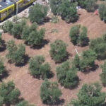 Due anni fa l’incidente ferroviario sulla Andria – Corato