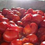 ‘Nzerta, come si fanno e si conservano i pomodori appesi