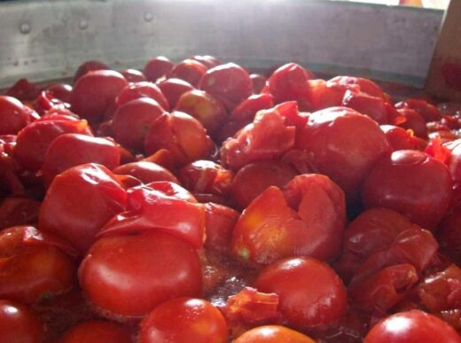 ‘Nzerta, come si fanno e si conservano i pomodori appesi