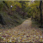 Orsara di Puglia, “Il sentiero dei sapori” per la Festa dell’Autunno