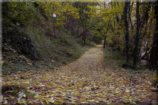 Lupi Mannari, Streghe e Fantasmi del Gargano