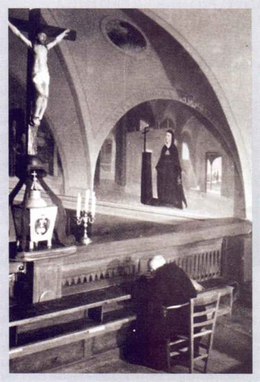 “L’olmo” la terza poesia della rubrica “I canti settembrini per Padre Pio” di Giovanni Scarale