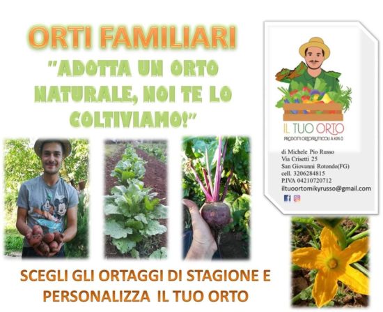 Nasce il servizio ORTI FAMILIARI: un’idea del giovane agronomo Sangiovannese Michele Pio Russo