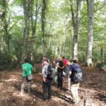 Studiosi dal mondo nelle faggete UNESCO della Foresta Umbra