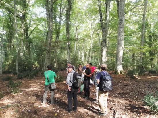 Studiosi dal mondo nelle faggete UNESCO della Foresta Umbra