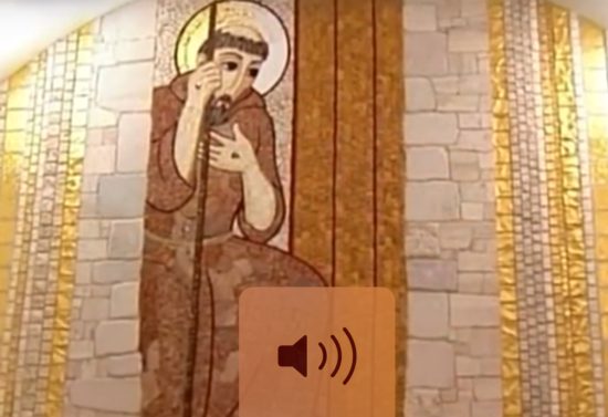 L’albero di San Francesco si trova fuori della Porta del Ponte nei pressi dell’orto del Baglivo