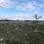 San Giovanni Rotondo: veglia di preghiera per il creato