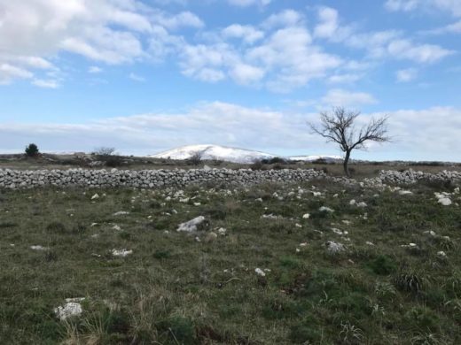 San Giovanni Rotondo: veglia di preghiera per il creato