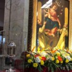 La rosa donata da Padre Pio alla Madonna di Pompei